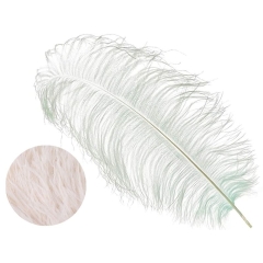 Ostrich Wings ivory