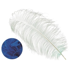 Ostrich Wings electric blue