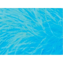 FEATHER FRINGES CHR blue paradise 1 - 6m