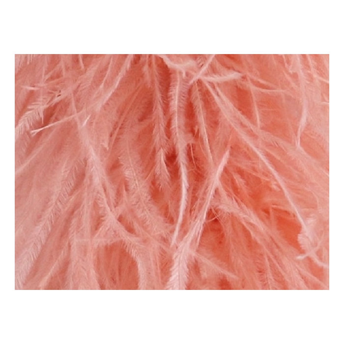 Feather Boa coral, sunglow