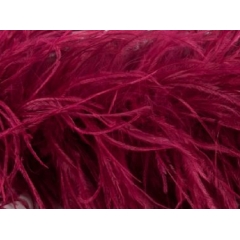 OSTRICH 4PLY BOA wine