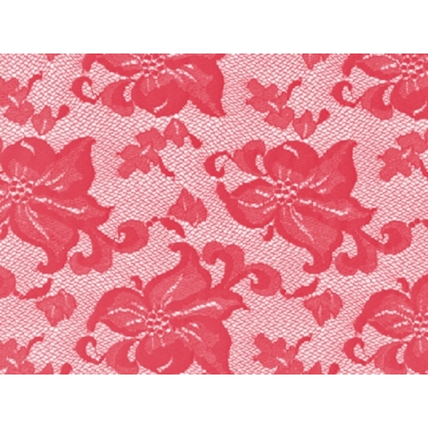 LILY carnation (kopia)