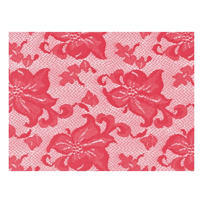LILY carnation (kopia)