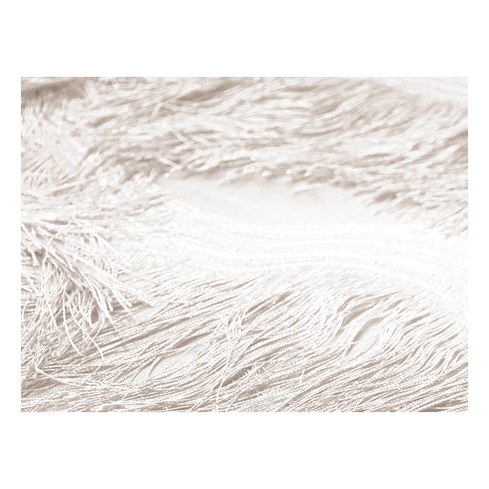SCALLOPED ALL OVER FRINGE NET red (kopia)