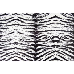 Tiger Lycra/ white black