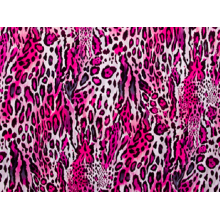 Textured Leopard DSI