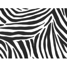 Zebra/white-black DSI
