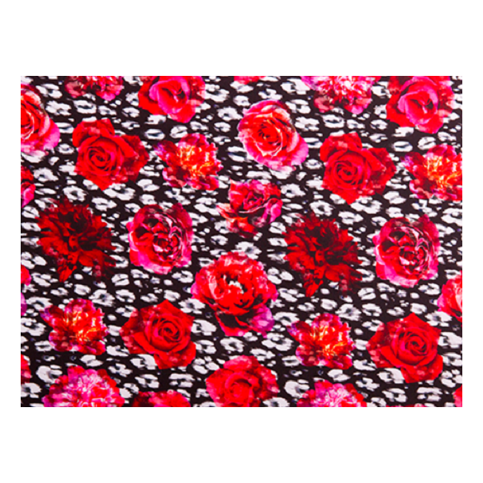Gypsy Rose DSI
