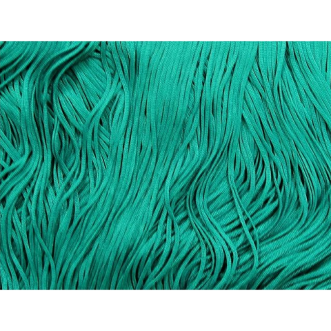FRINGE DSI