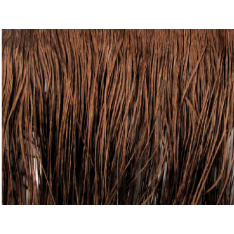 FRINGE DSI cocoa