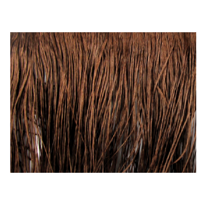 FRINGE DSI cocoa