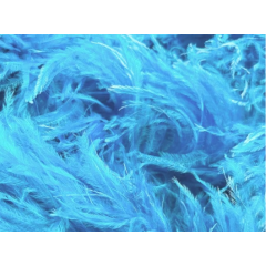 Feather Boa CHRISANNE barbados