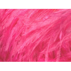 Feather Boa DSI cerise