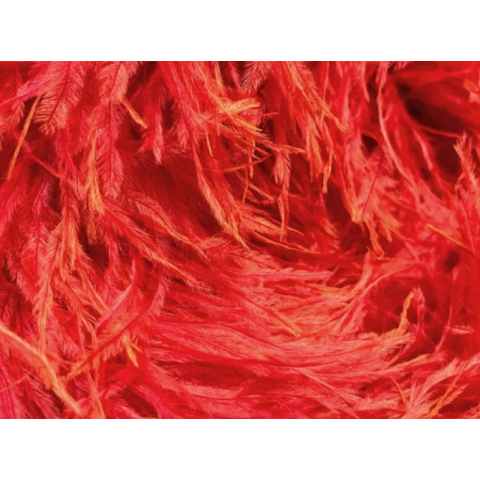 Feather Boa hot red