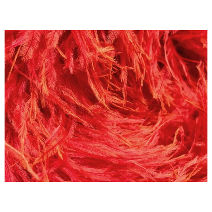 OSTRICH 4PLY BOA hot red