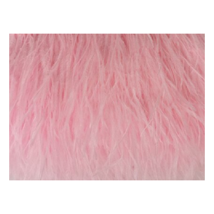 Feather Boa carnation