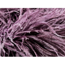 Feather Boa plum