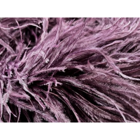 Feather Boa plum