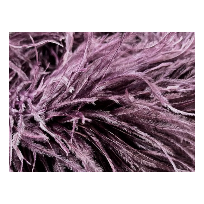 Feather Boa plum