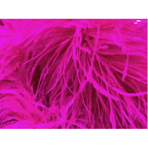 Feather Boa carnival