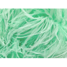 Feather Boa spearmint