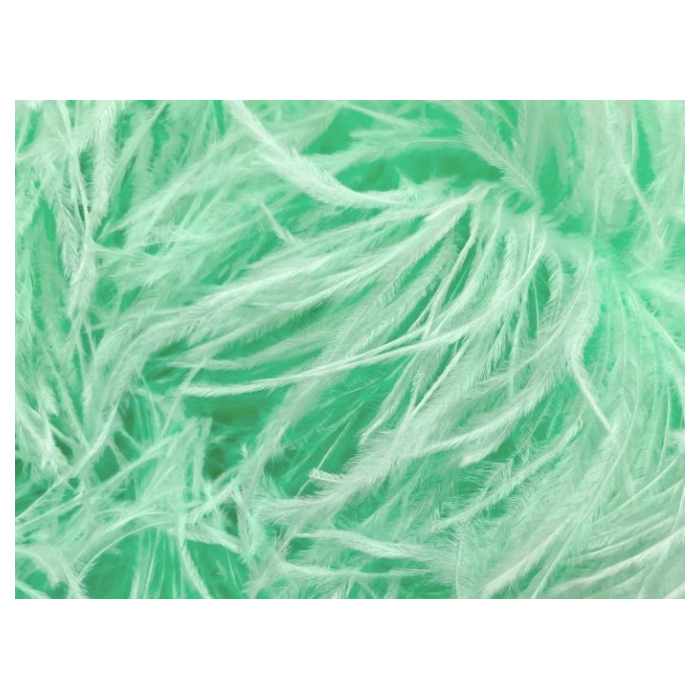 Feather Boa spearmint