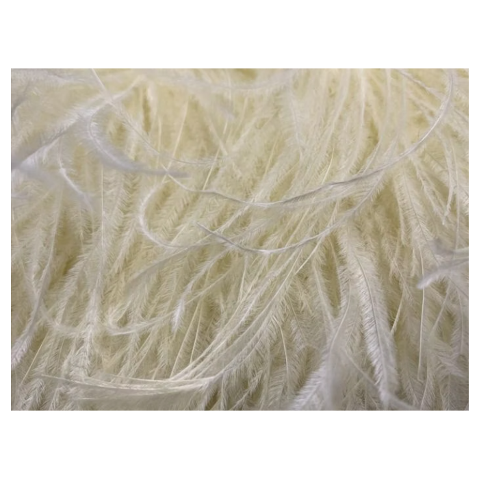 Feather Boa camelia
