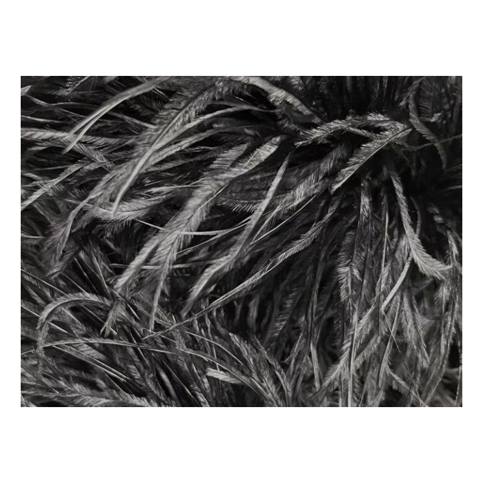Feather Boa black