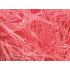 Feather Boa salmon