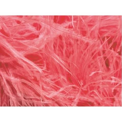 Feather Boa salmon