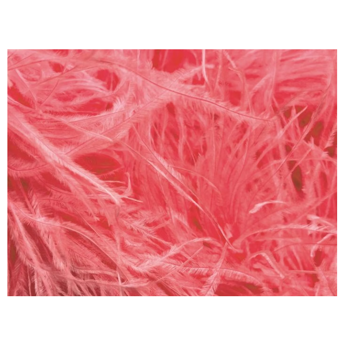 Feather Boa salmon