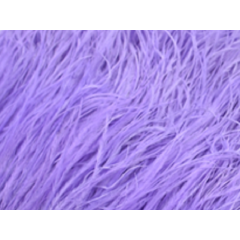 Feather fringes DSI amethyst