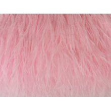 Feather fringes DSI carnation