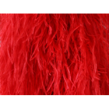 Feather fringes DSI flamenco