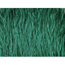 Feather fringes DSI jade