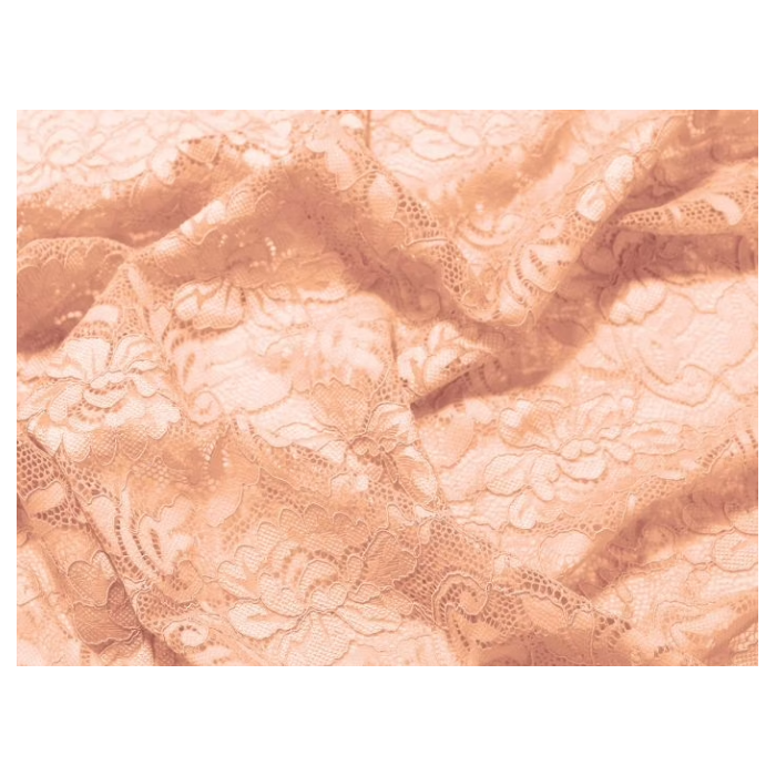 FLOWER STRETCH LACE champagney