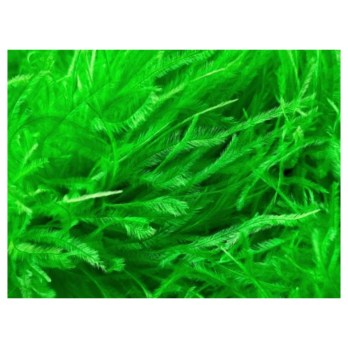 Feather Boa apple green