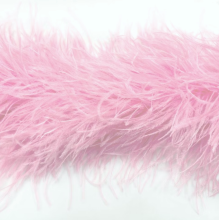 Feather Boa carnation