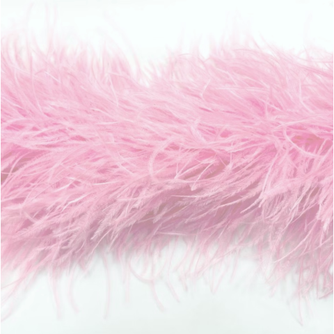 Feather Boa carnation