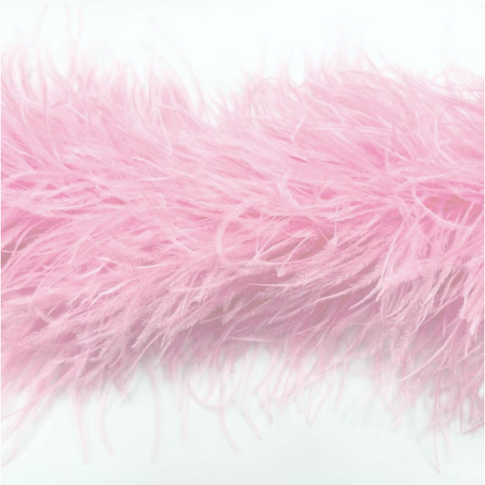 Feather Boa carnation