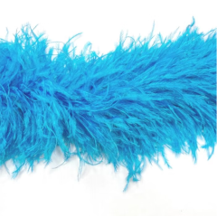 Feather boa barbados