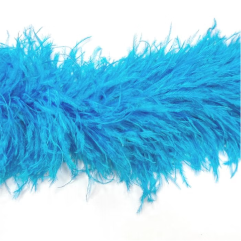 Feather boa barbados