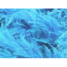 Feather boa barbados