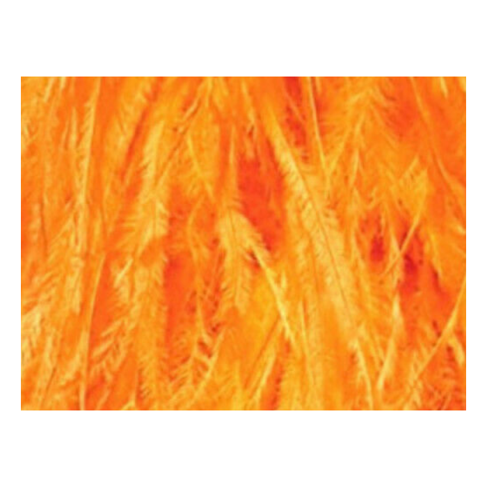 Feather boa mango