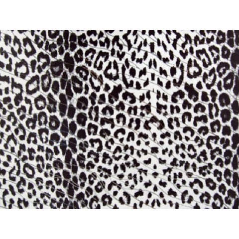 HUNTER LYCRA (kopia)