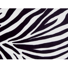 ZEBRA LYCRA (kopia)