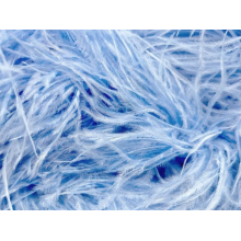 BOA STRUSIE bluebell (kopia)