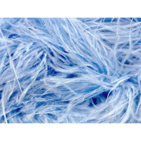 BOA STRUSIE bluebell (kopia)