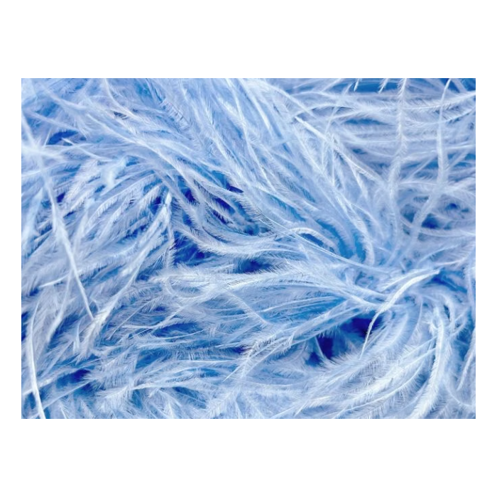 BOA STRUSIE bluebell (kopia)