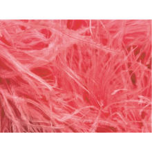 BOA STRUSIE salmon / clematis (kopia)
